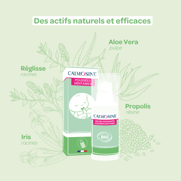 Calmosine Poussées Dentaires – Image 3